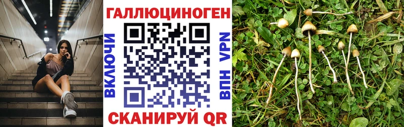 Купить закладки  Бахчисарай  Псилоцибиновые грибы мухоморы 